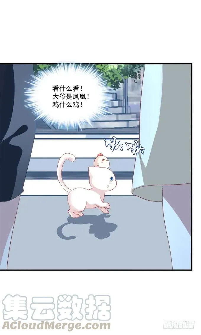 凤凰冢十五 第45页