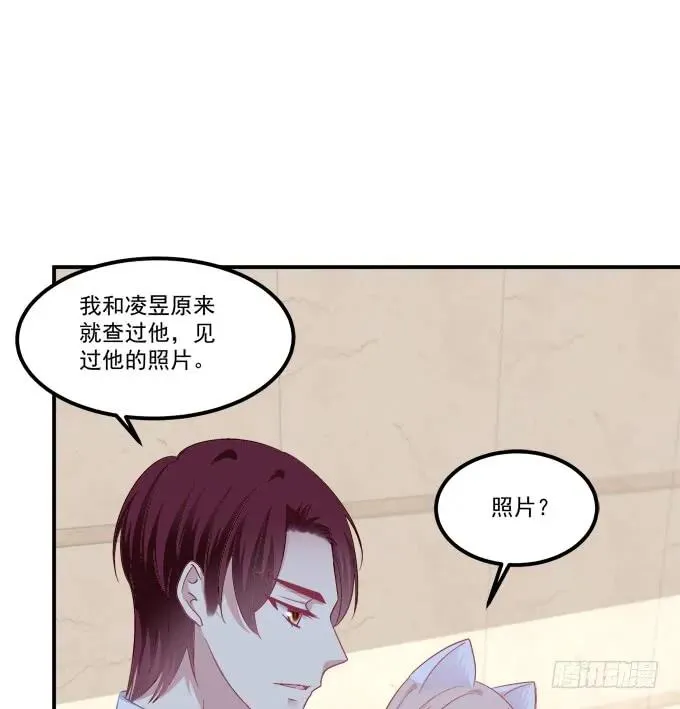 凤凰冢十六 第43页