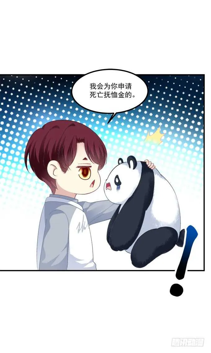 谁是谁媳妇？！ 第37页