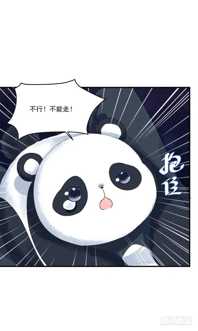我不会让你死在我面前 第11页