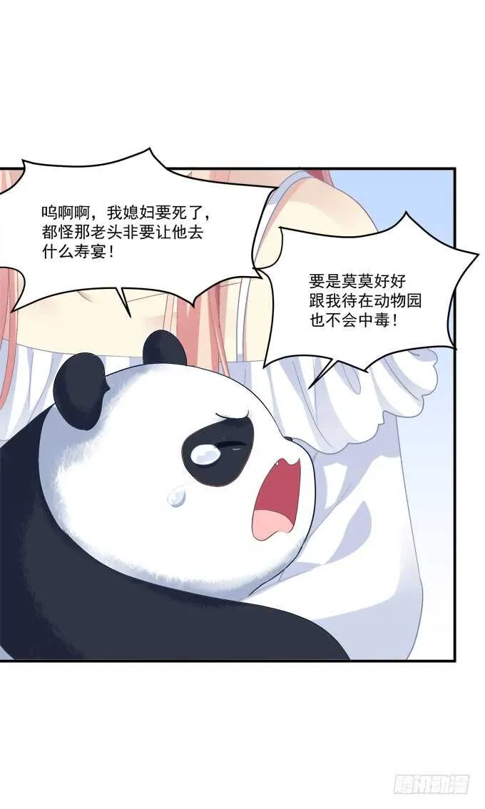 我不会让你死在我面前 第49页