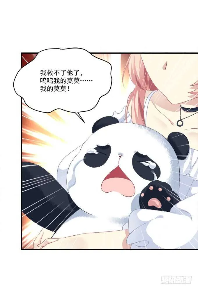 我不会让你死在我面前 第52页
