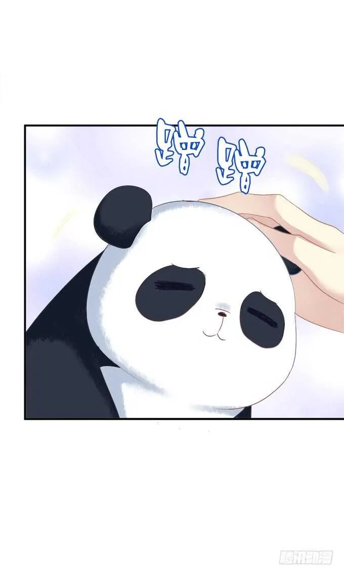 让我饲养你！ 第37页