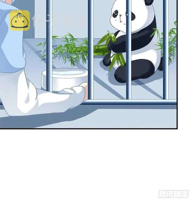 让我饲养你！ 第39页