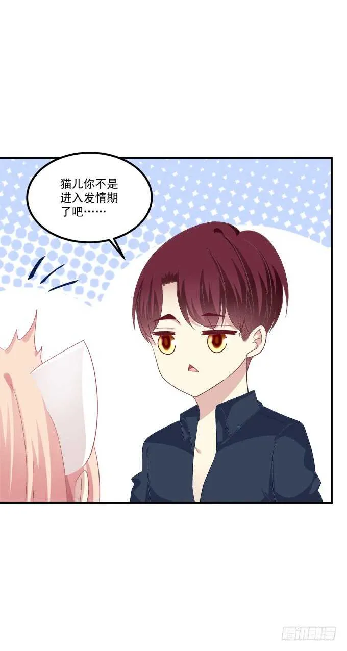 猫儿你这是在玩火！ 第6页