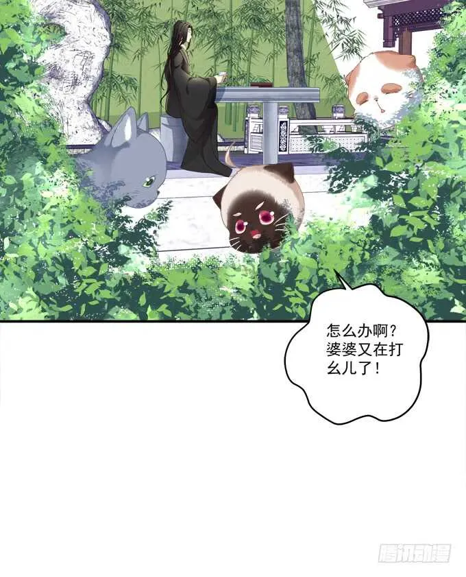 逃跑去见卿哥！ 第5页