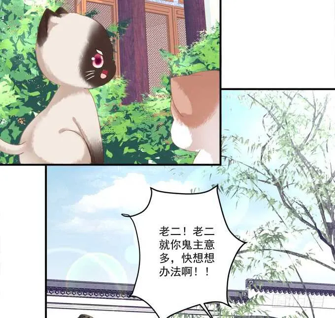 逃跑去见卿哥！ 第7页