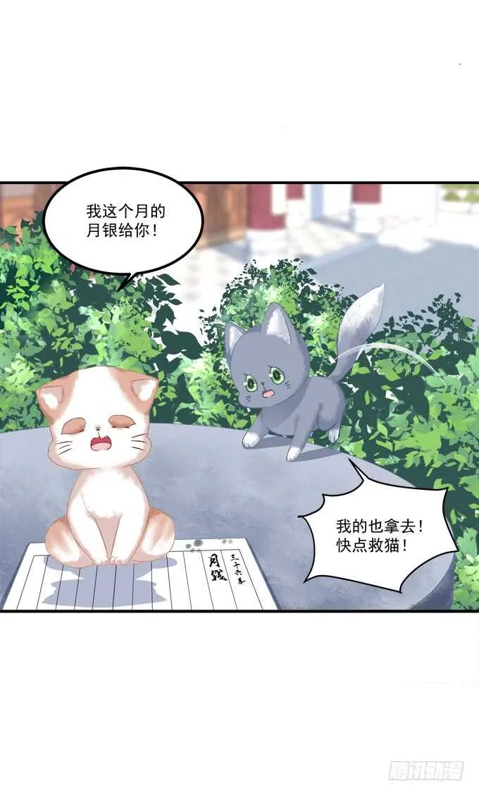 逃跑去见卿哥！ 第14页