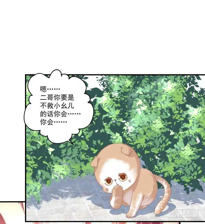 逃跑去见卿哥！ 第17页