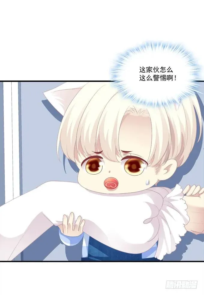 猫崽的爸爸到底是谁！ 第6页