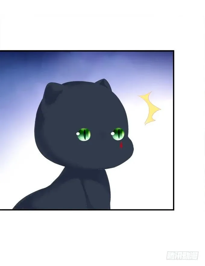猫崽的爸爸到底是谁！ 第8页