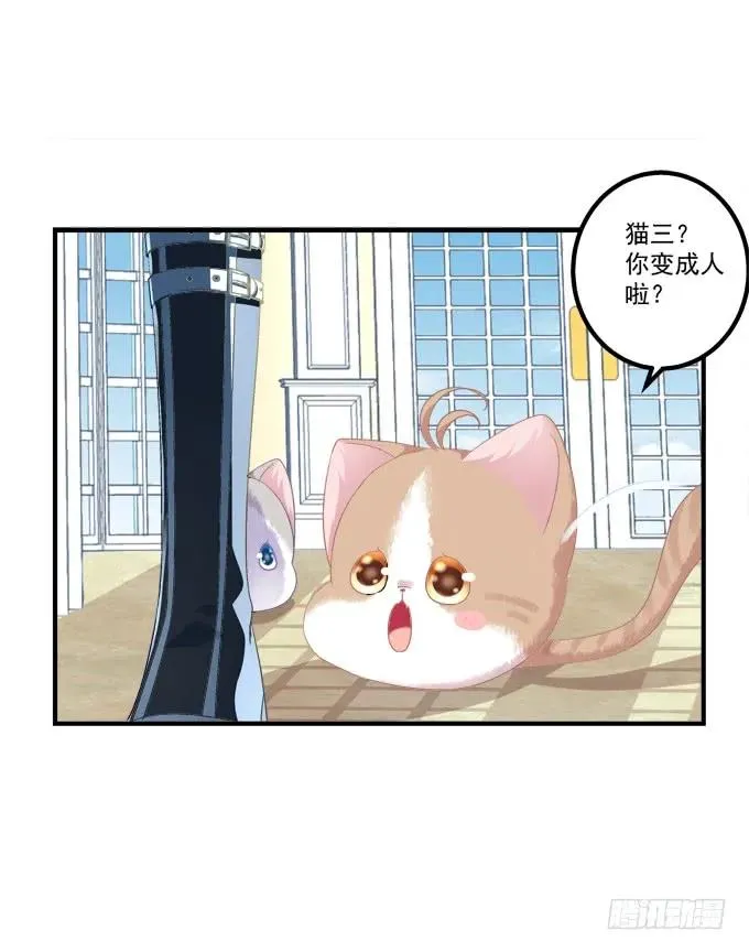 猫崽的爸爸到底是谁！ 第12页