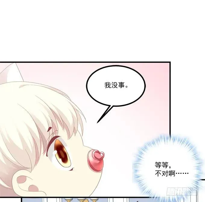 猫崽的爸爸到底是谁！ 第24页