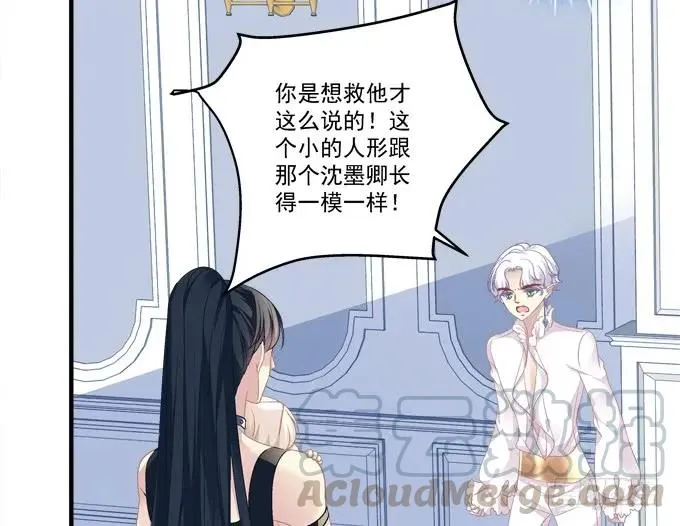 猫崽的爸爸到底是谁！ 第25页