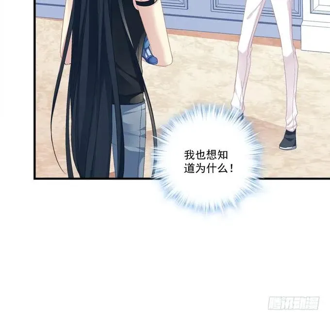 猫崽的爸爸到底是谁！ 第26页