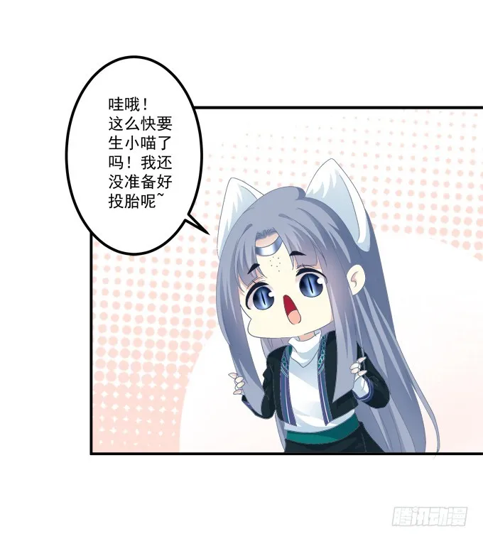 给我一个机会永远爱你! 第13页
