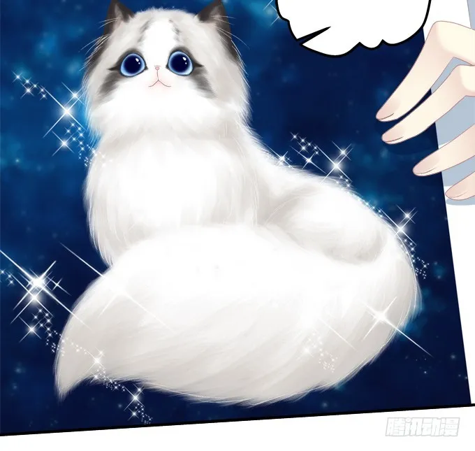 洞房花烛夜！ 第10页