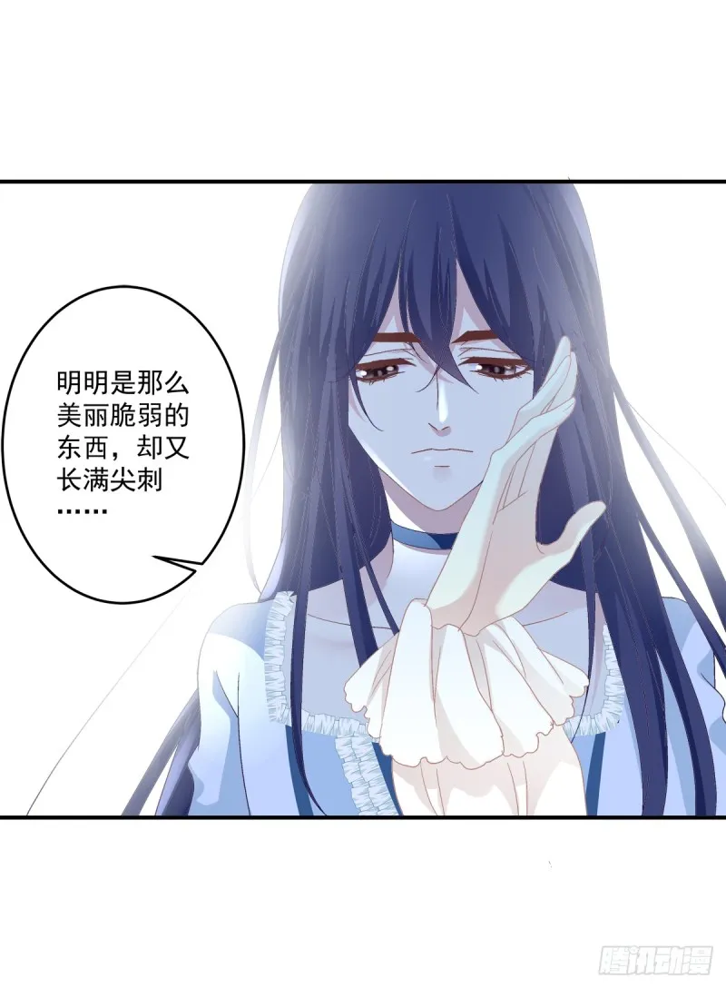 你是我见过最美的玫瑰！ 第16页