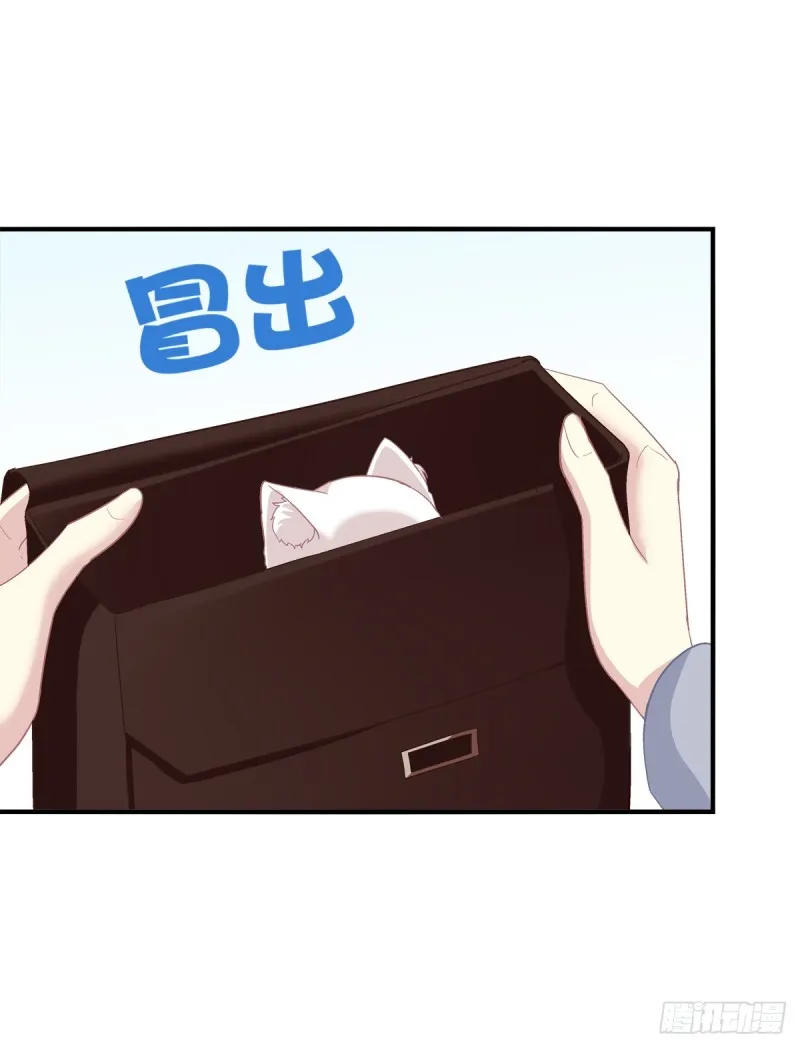 沈墨卿是个渣男！ 第24页