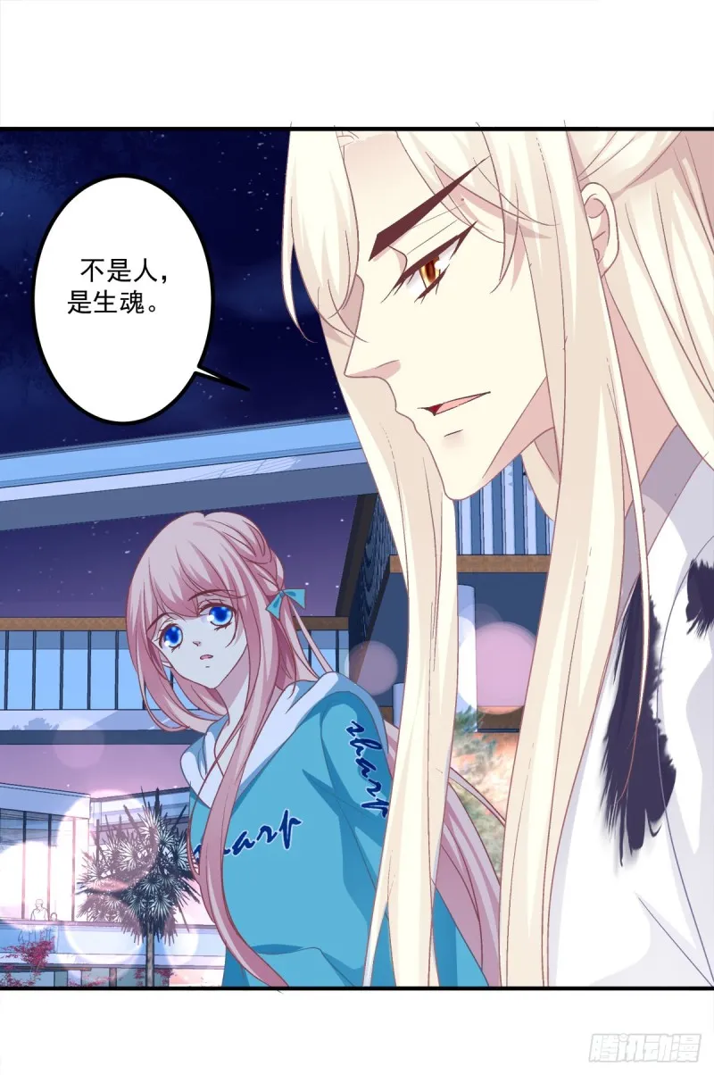 猫肉炸弹 第11页