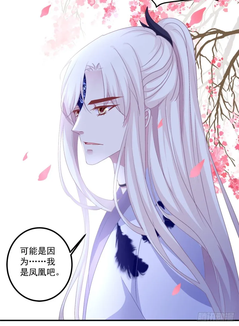 猫肉炸弹 第32页