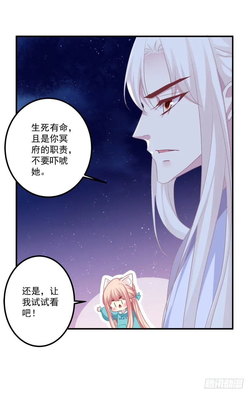 猫肉炸弹 第46页
