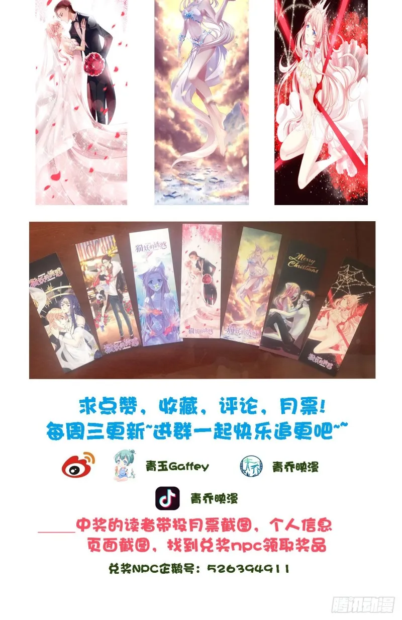 猫肉炸弹 第52页