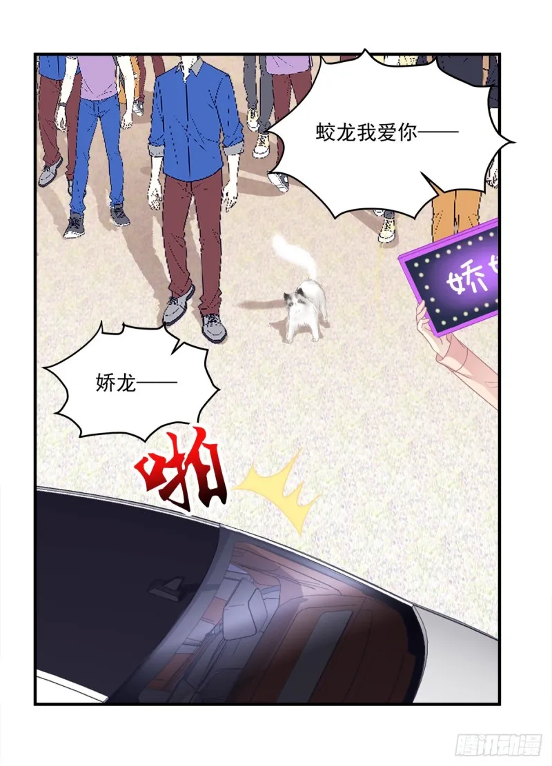 天上掉下个小奴隶！ 第3页
