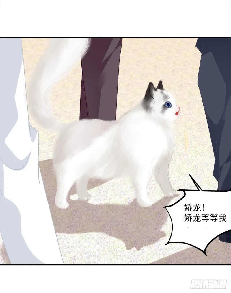 天上掉下个小奴隶！ 第4页
