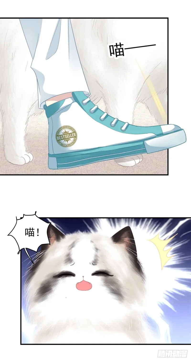 天上掉下个小奴隶！ 第5页
