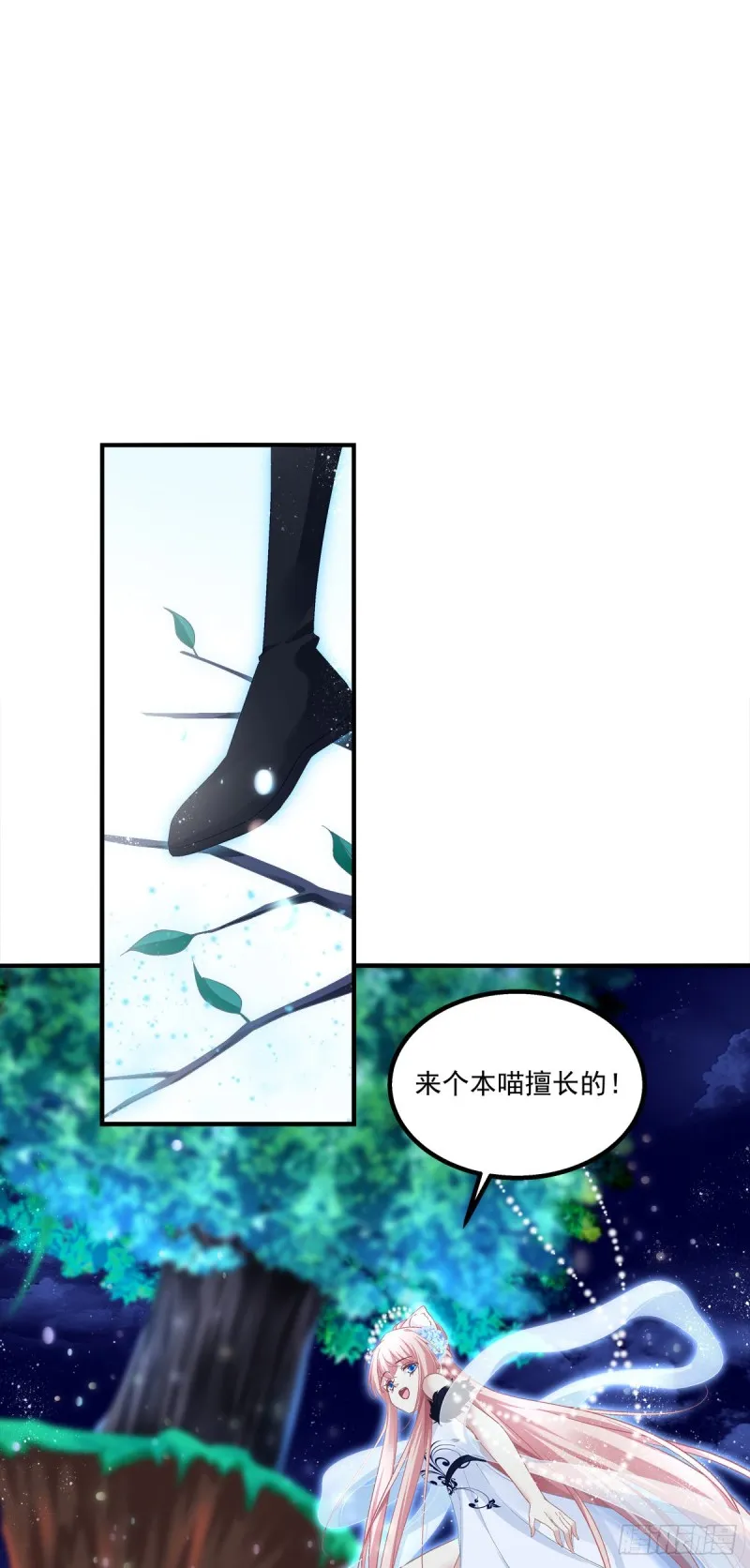 是谁带走了猫儿？！ 第7页