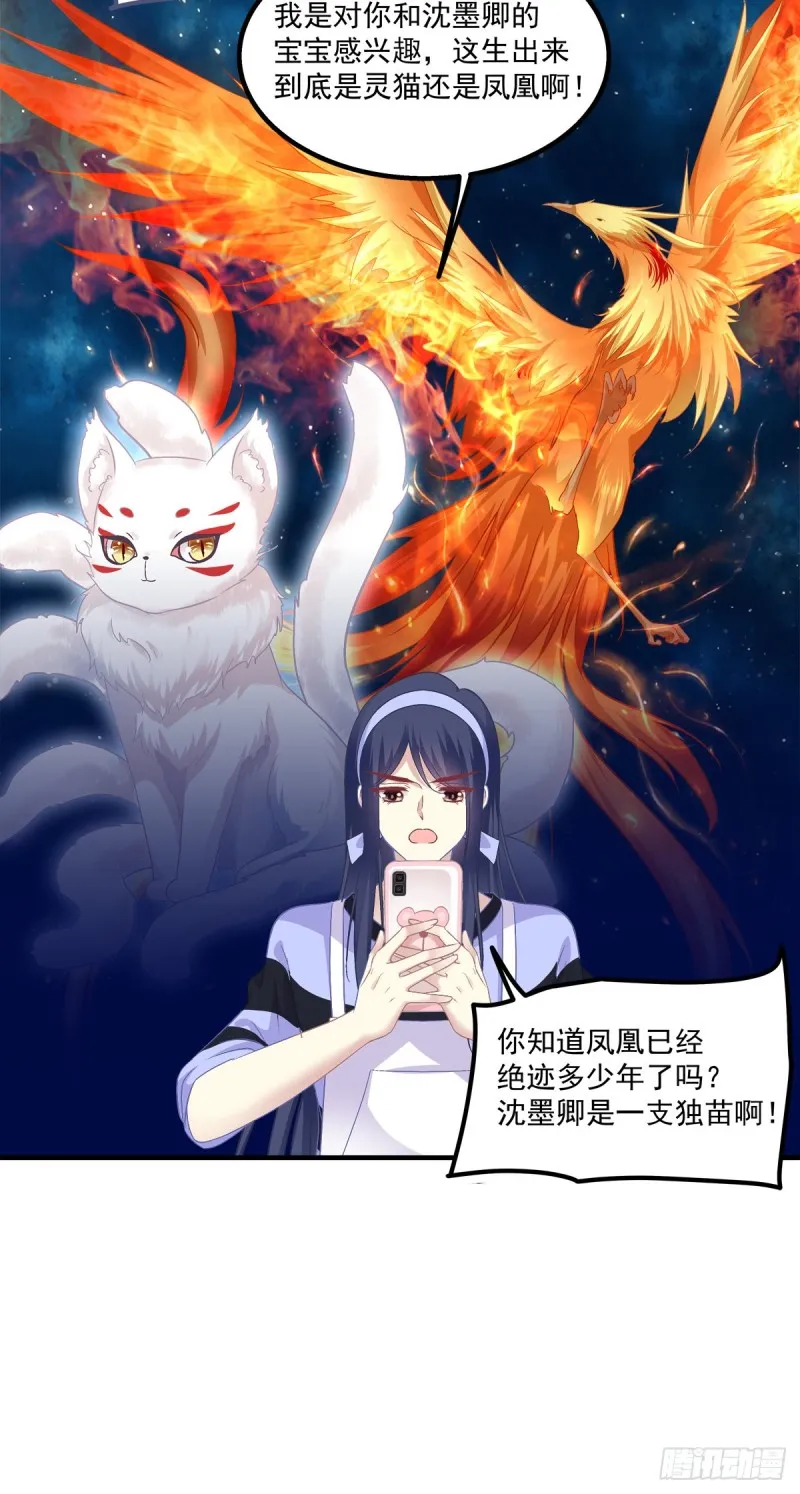 九代单传小凤凰！ 第9页