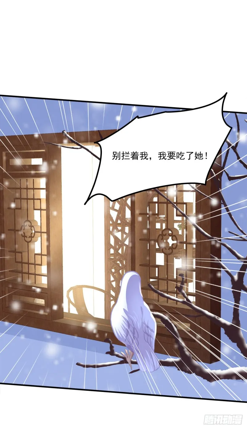 九代单传小凤凰！ 第36页