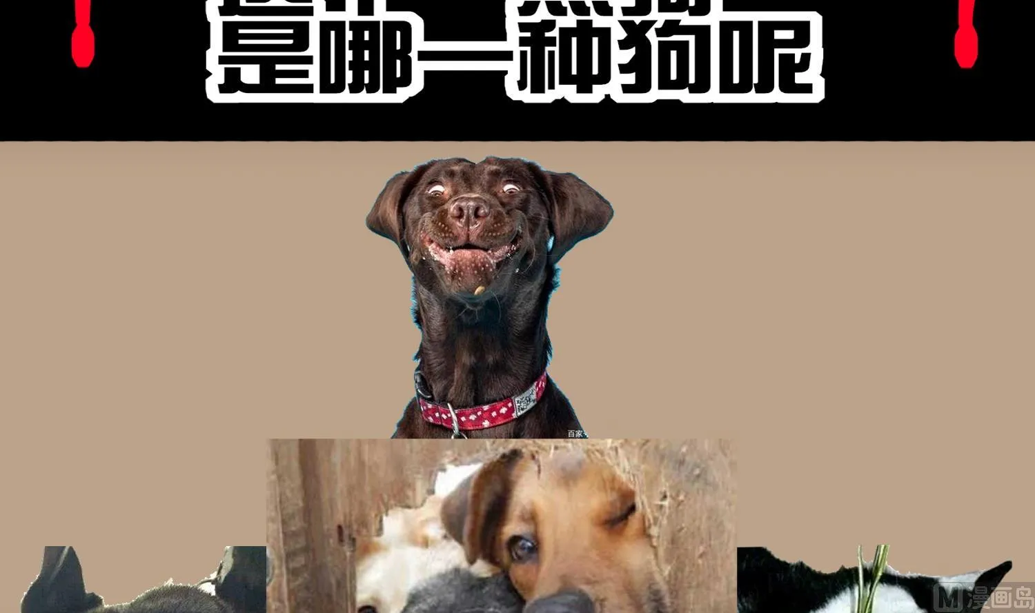 第118话 左臂！ 第78页