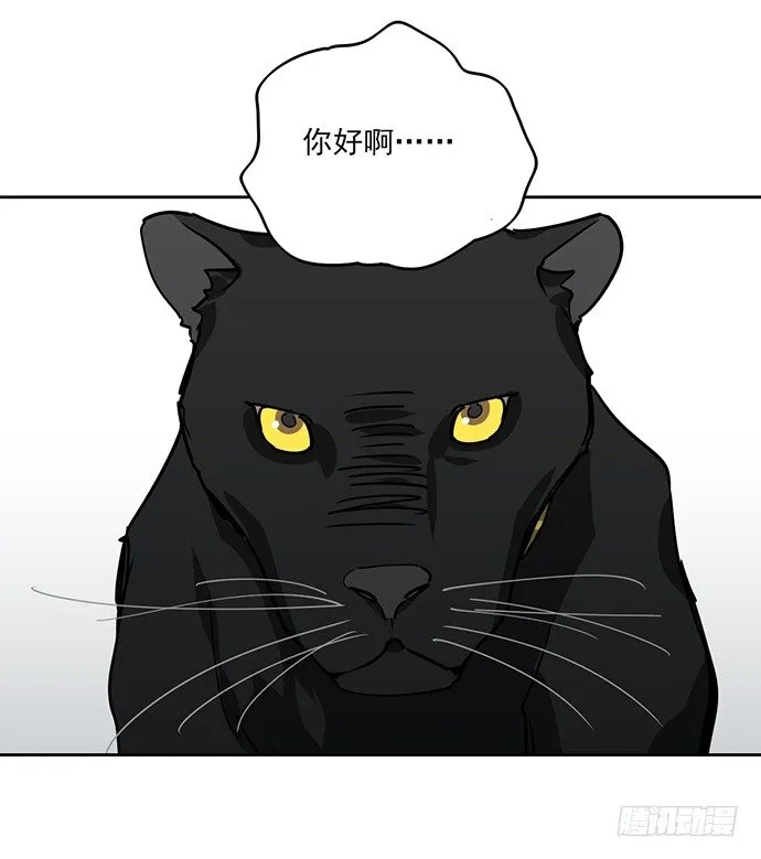 见笑了，我是旱鸭子 第36页
