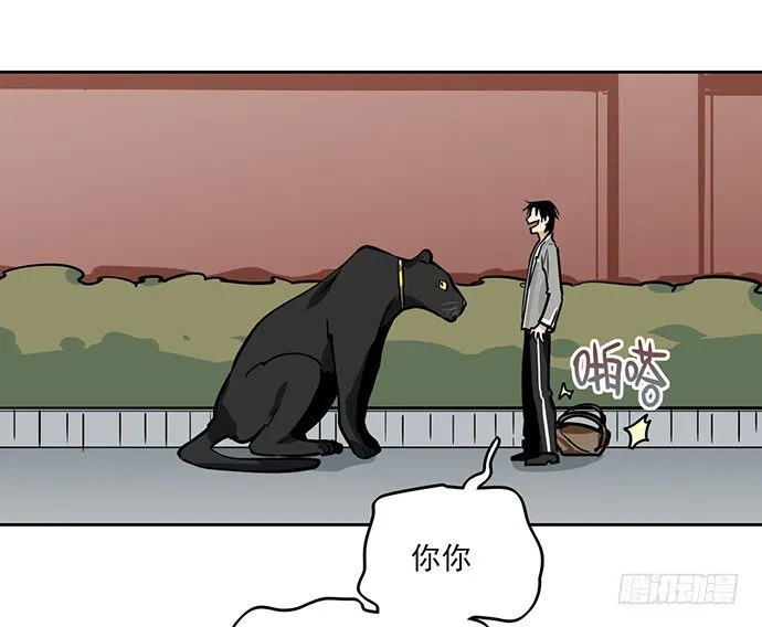 见笑了，我是旱鸭子 第37页