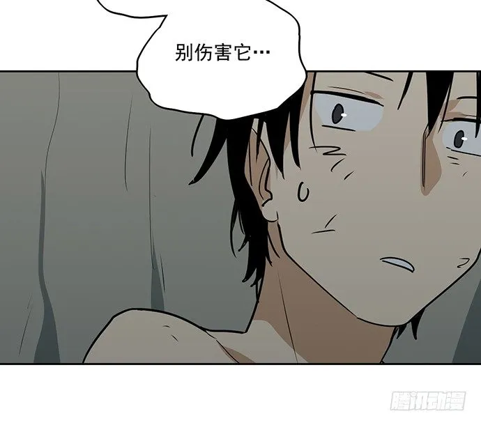 陷阱里的孤男寡女 第39页