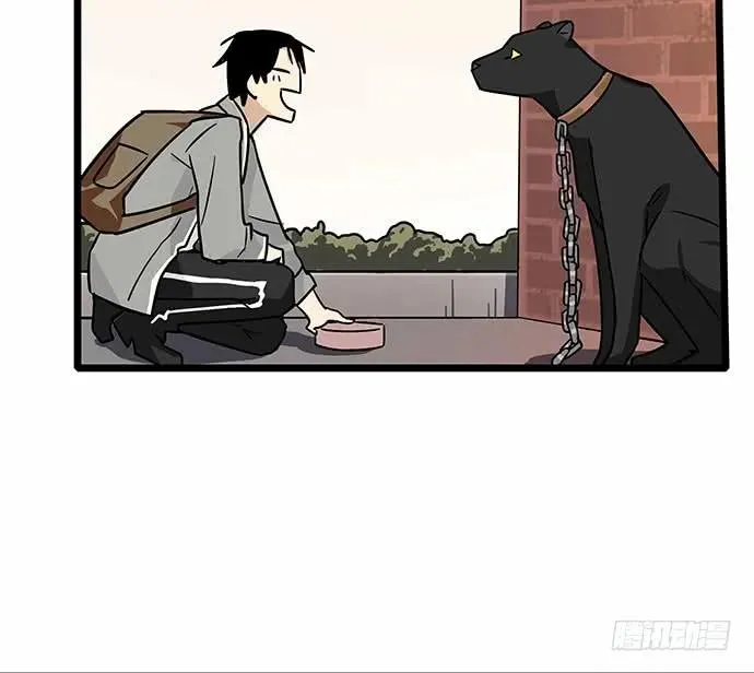 110.为什么要追我? 第13页