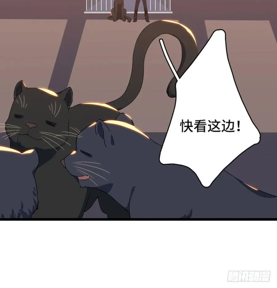 112.那个女人出现了 第18页