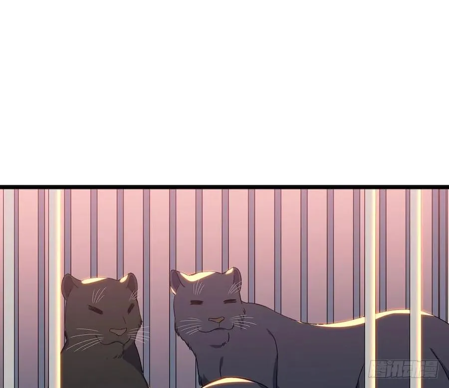 112.那个女人出现了 第26页