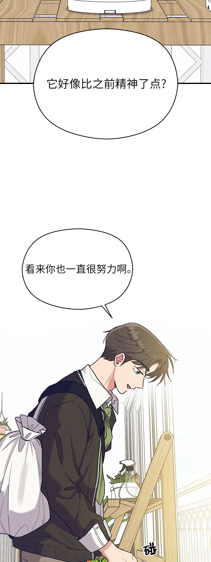 第35话 第10页