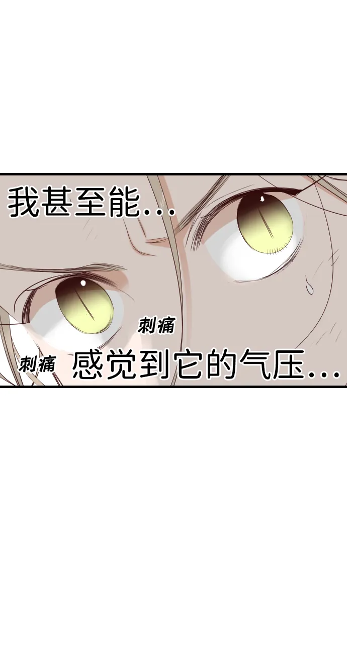 [第91话] 黑暗森林（4） 第32页