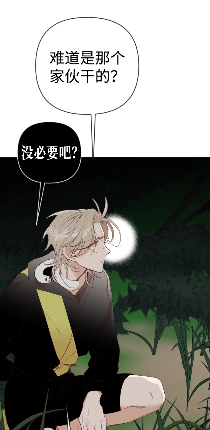 [第88话] 黑暗森林（1） 第17页