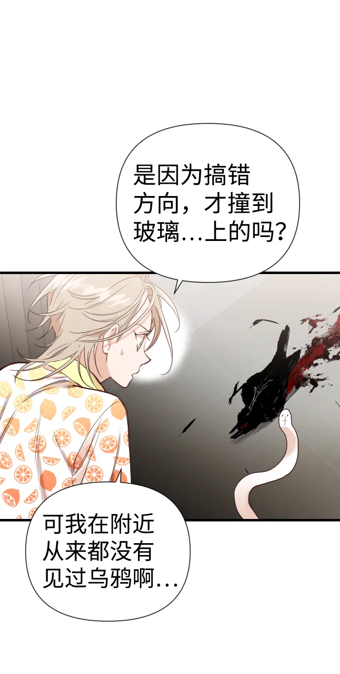 [第16话] 死者的神托所（2） 第41页