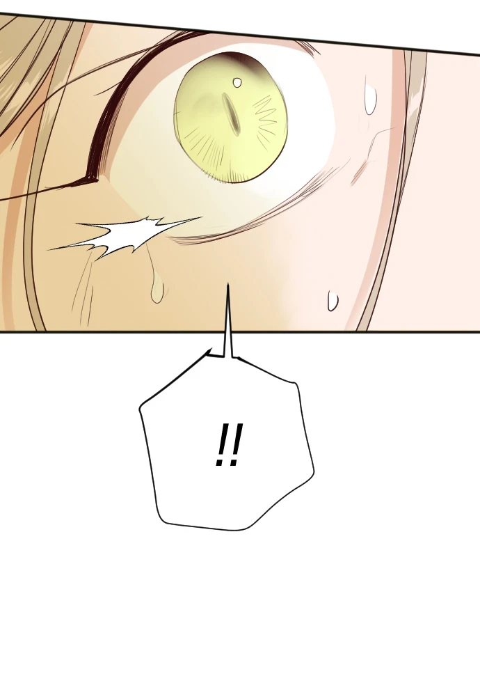 [第105话] check mate（7） 第65页