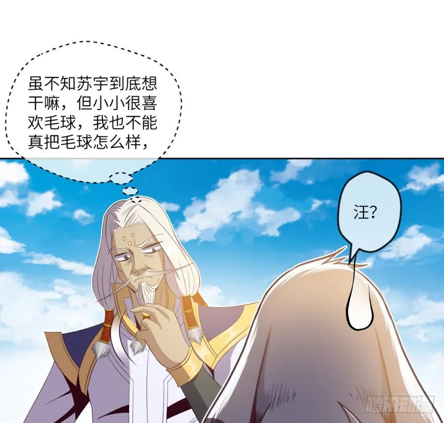 武圣VS毛球 第17页