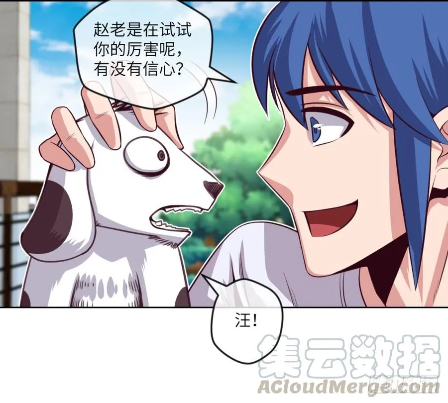 武圣VS毛球 第36页