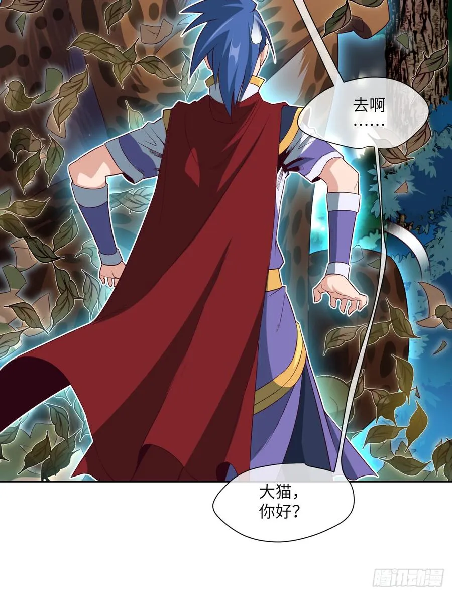 大猫咪~来玩撒! 第17页