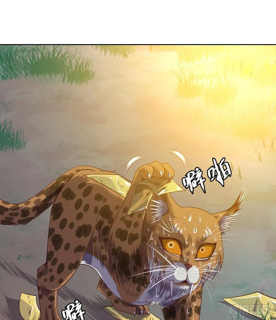 大猫咪~来玩撒! 第35页
