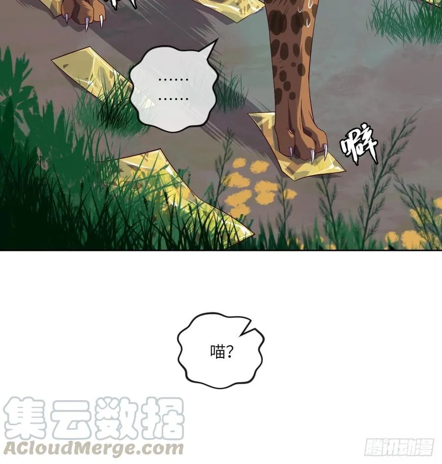 大猫咪~来玩撒! 第36页